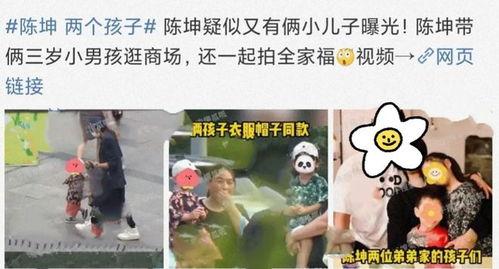 两娃娱乐爆料,揭秘娱乐圈幕后故事  第2张